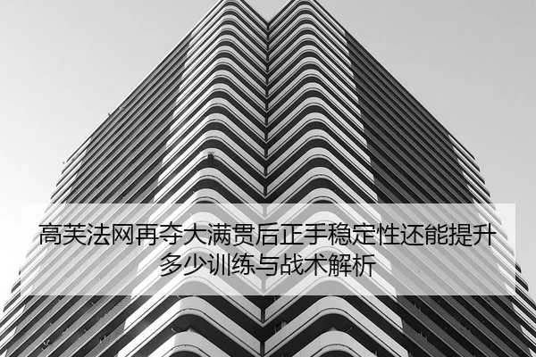 gao-fu-fa-wang-zai-duo-da-man-guan-hou-zheng-shou-wen-ding-xing-hai-neng-ti-sheng-duo-shao-xun-lian-yu-zhan-shu-jie-xi-2-263.jpg